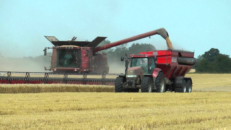 Комбайн Нью Холланд. Уборка пшеницы