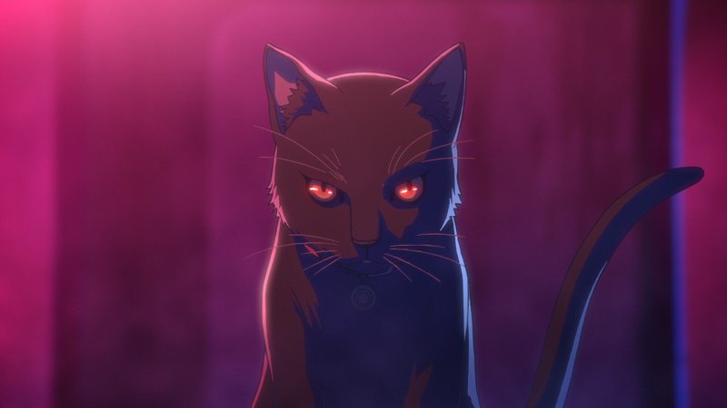 Акудама драйв кошка