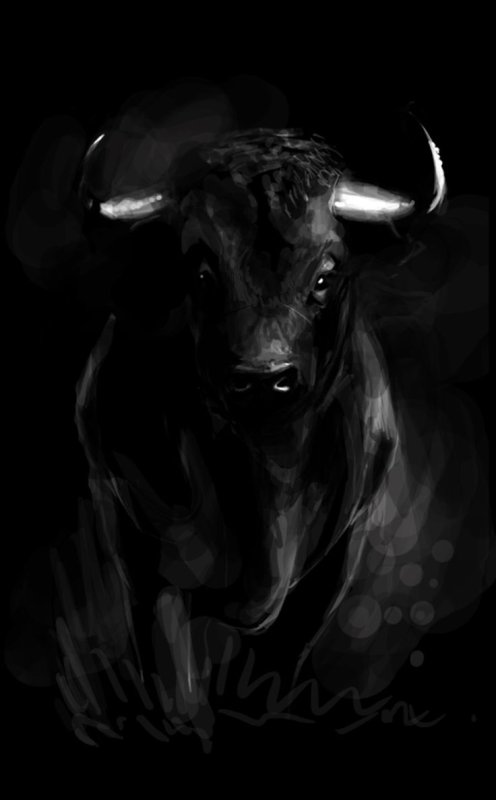 Бык на черном фоне