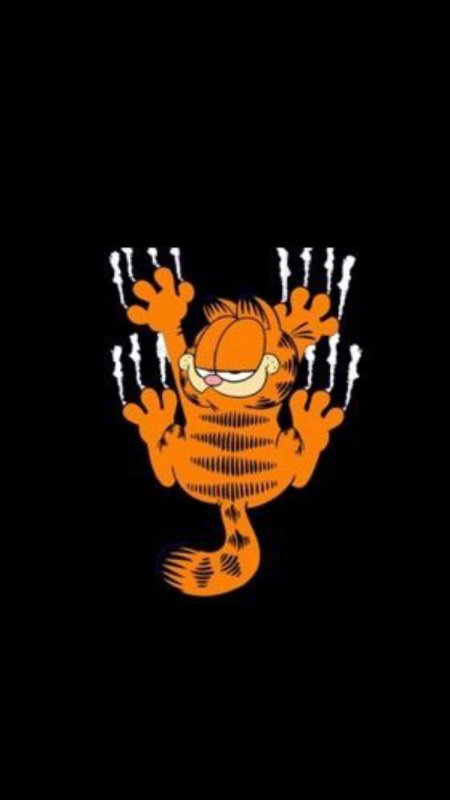 Гарфилд на черном фоне