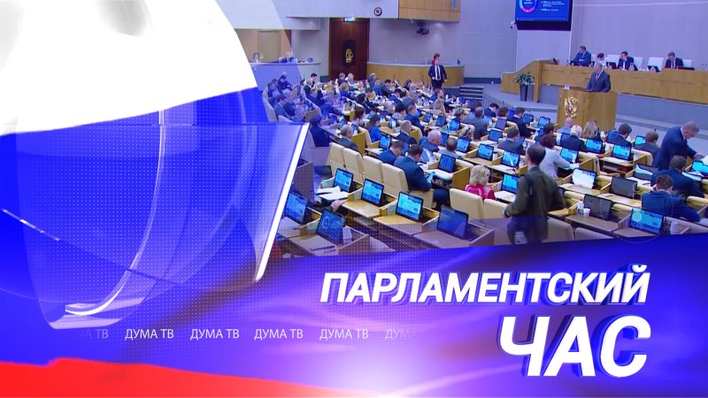 Парламентский час Дума ТВ