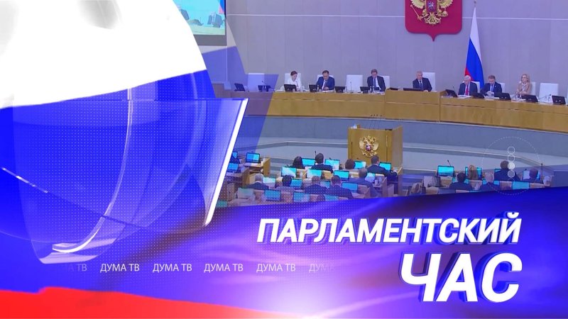 Ведущая парламентского часа на Россия 24