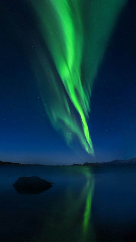 Заставка Honor