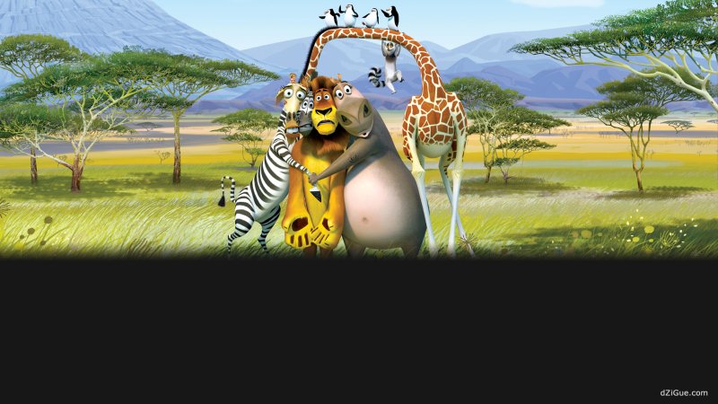 Мадагаскар 2005 Мелман