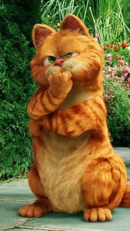 Гарфилд порода кота
