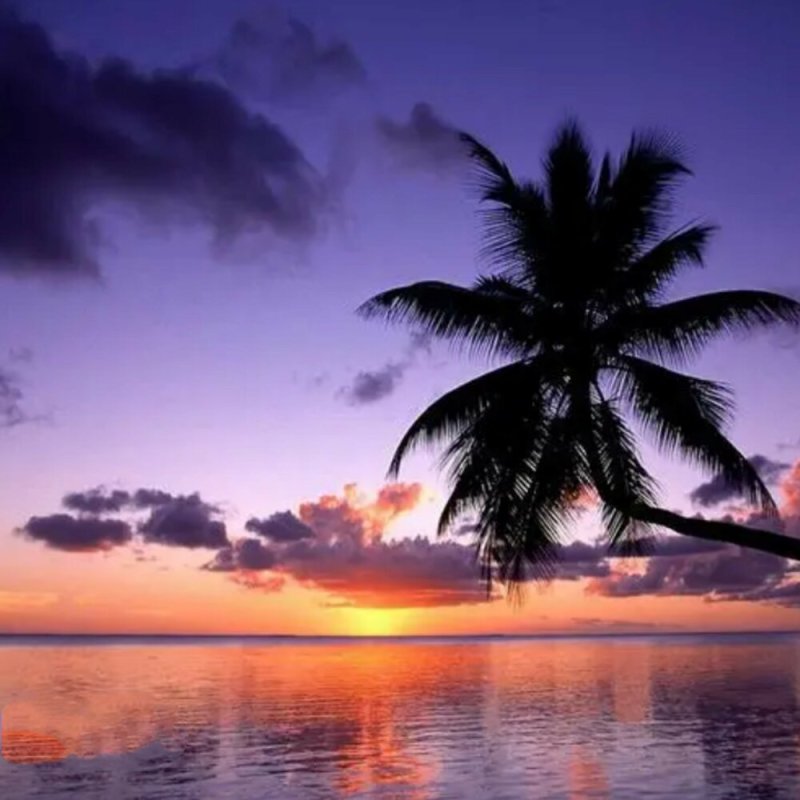 Изображения 240x320