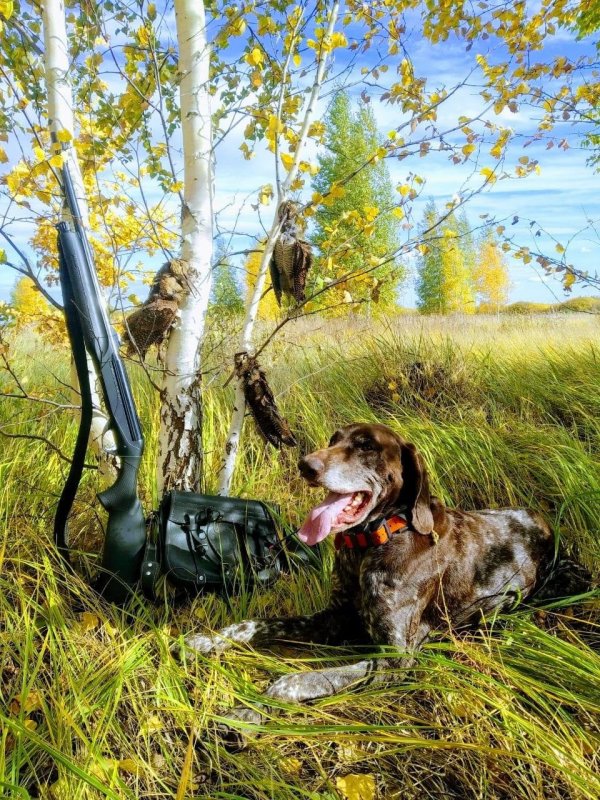 Картина охотник с собакой