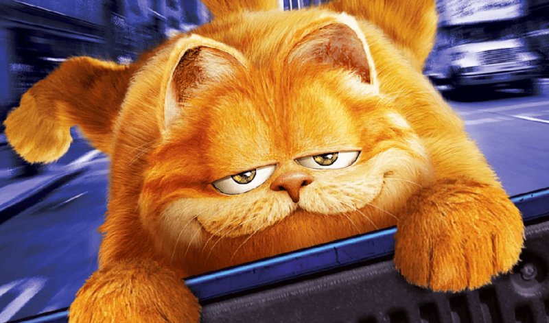 Кот Гарфилд мультфильм