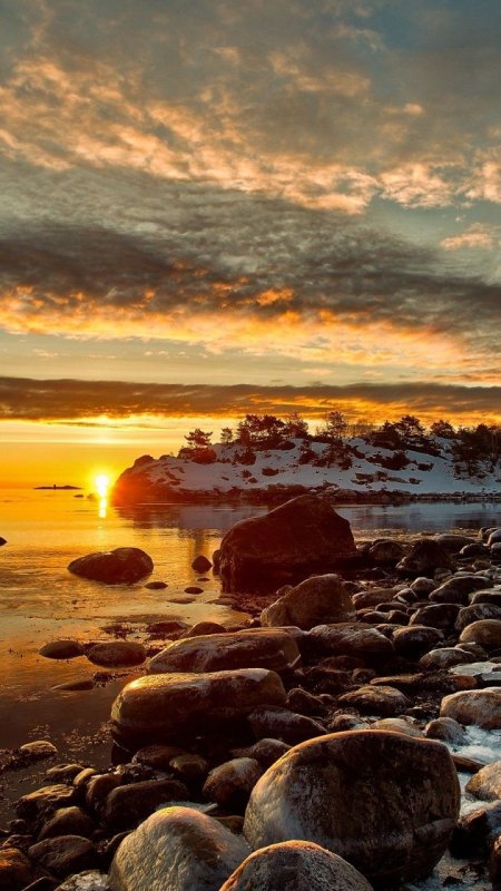 Пейзаж в коричневых тонах