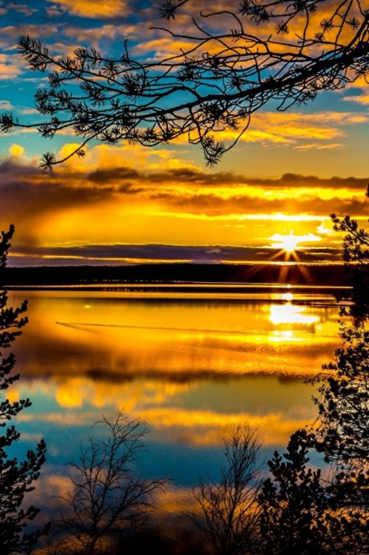 Вечерний пейзаж