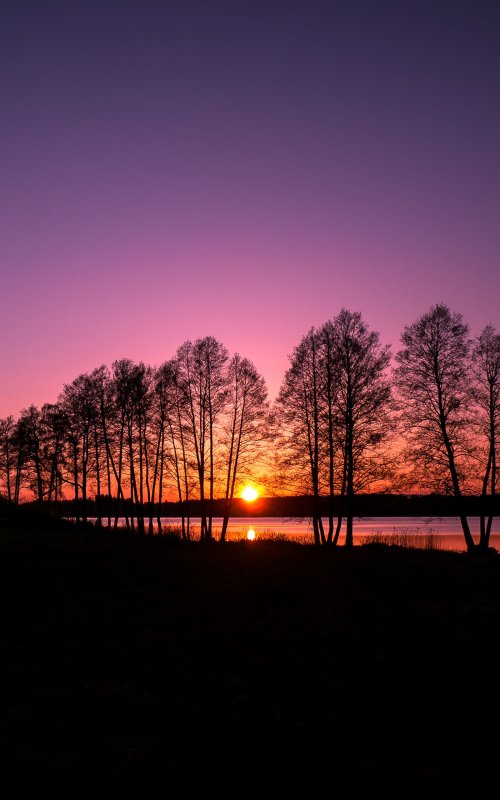 Природа закат