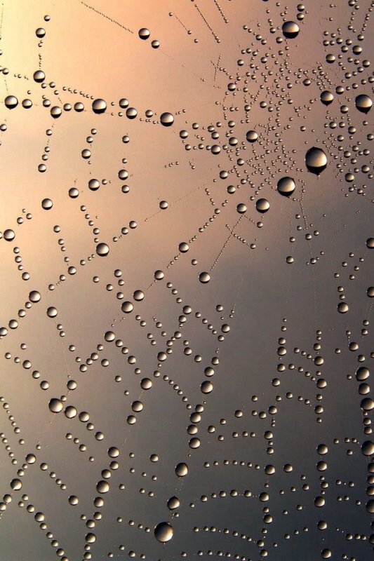 Стильные обои на телефон