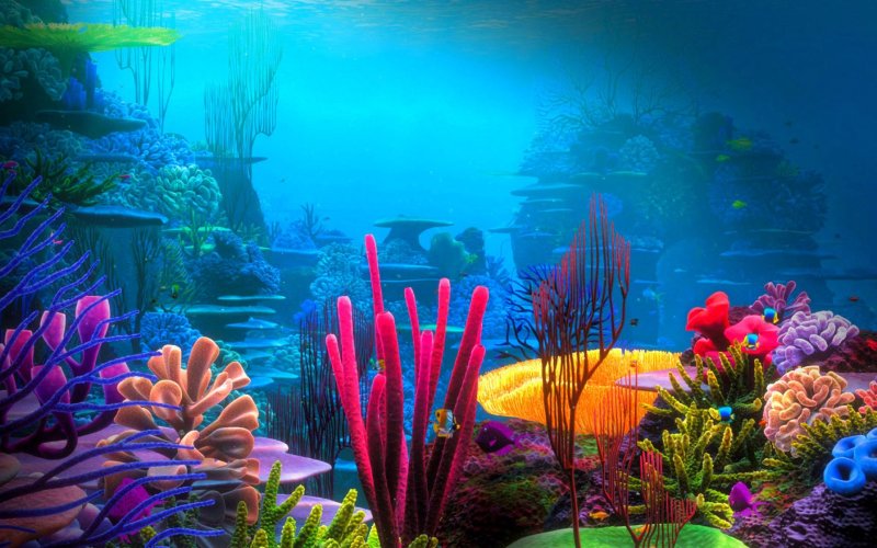 Подводный мир