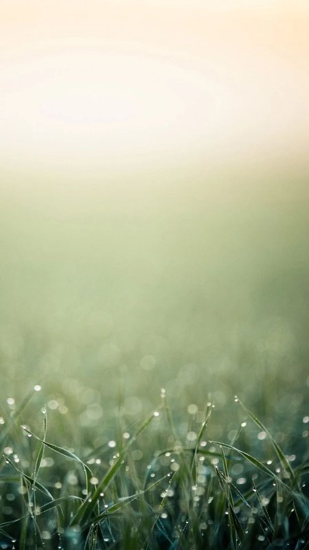 Спокойный фон