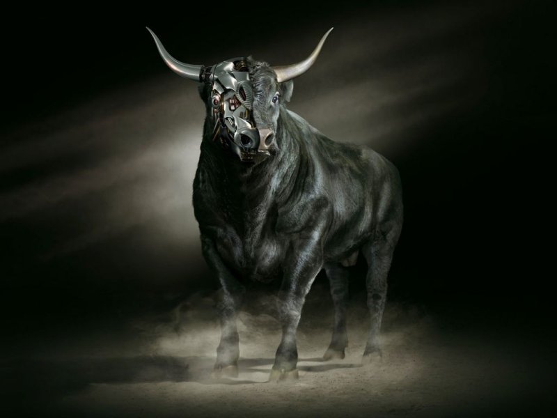 Злой бык