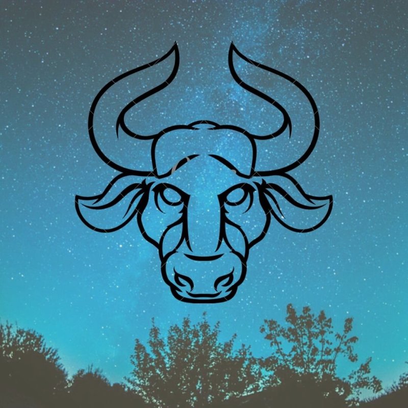 Заставка Телец