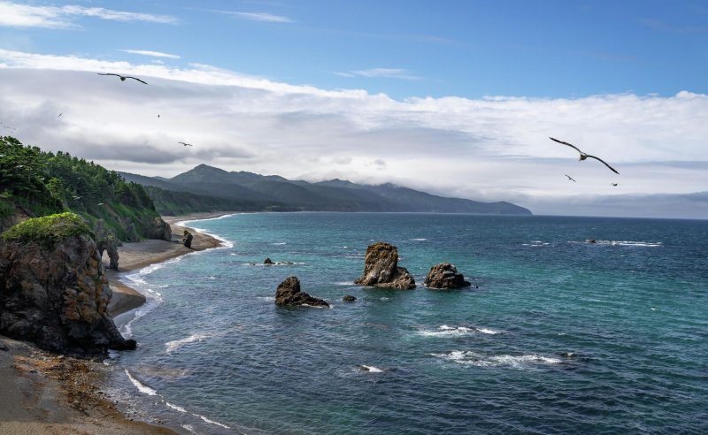 Мыс птичий Южно Сахалинск