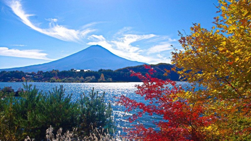 Курильские острова