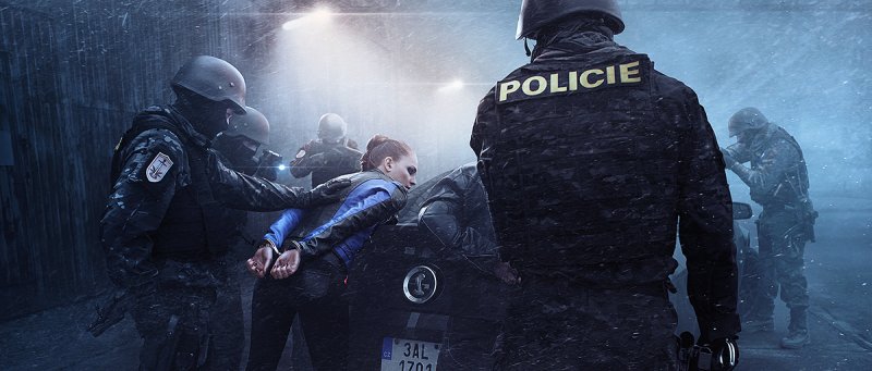 Полиция арт