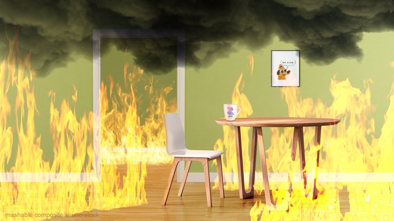 Смешные фоны для зум