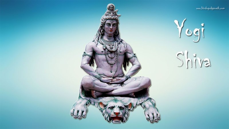 Шива Тхеджус