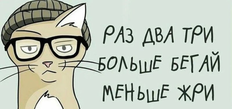 Раз два три больше бегай меньше жри