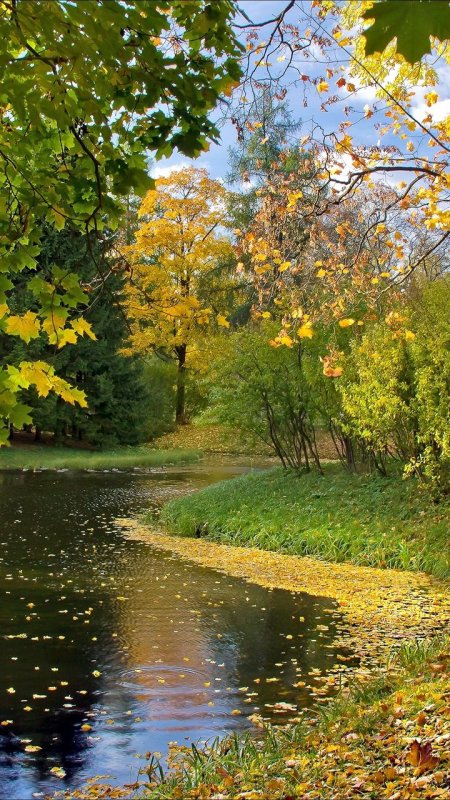 Ранняя осень