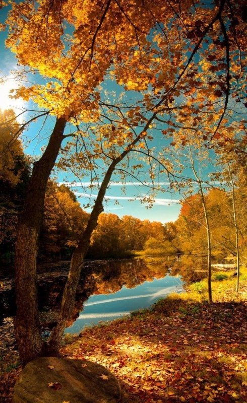 Осенний пейзаж