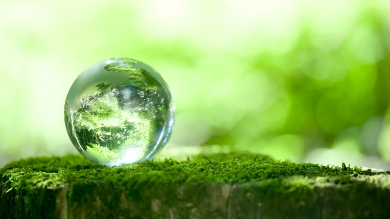 Экология фон