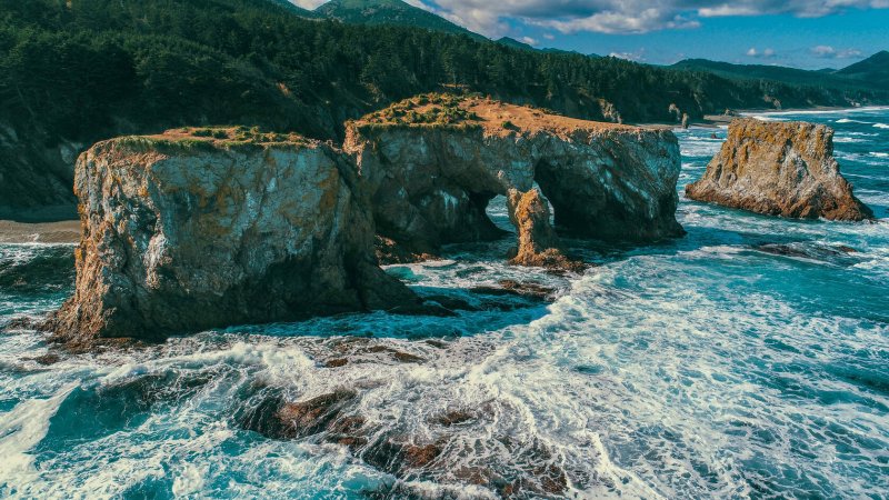 Мыс птичий великан Сахалин