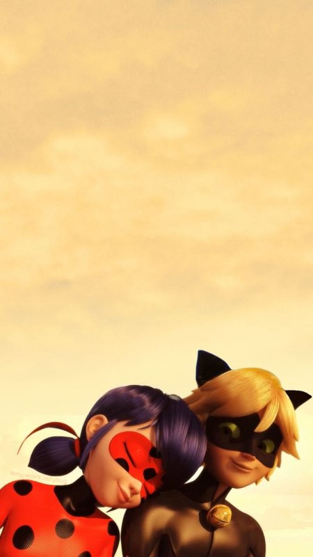 Леди баг исцпер кот