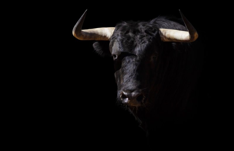 Бык заставка