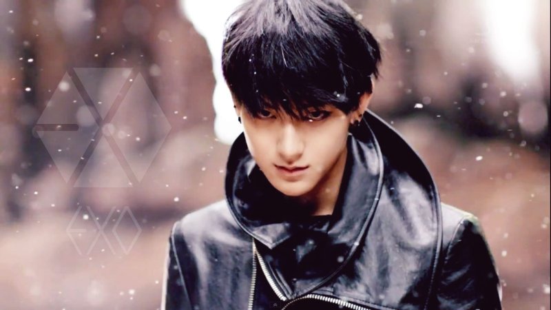 EXO tao