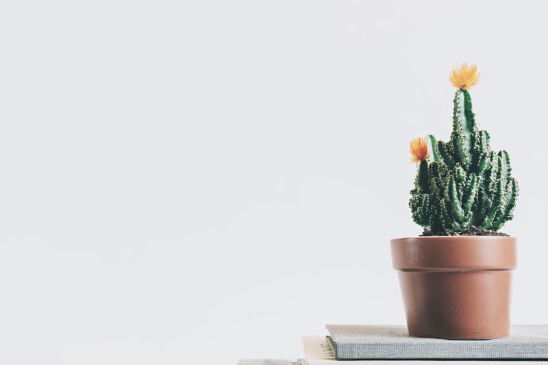 Цветочный горшок Минимализм