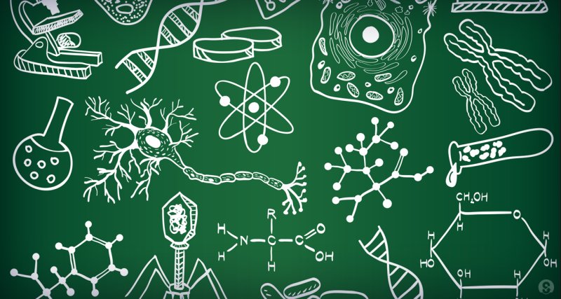 Химия и биология