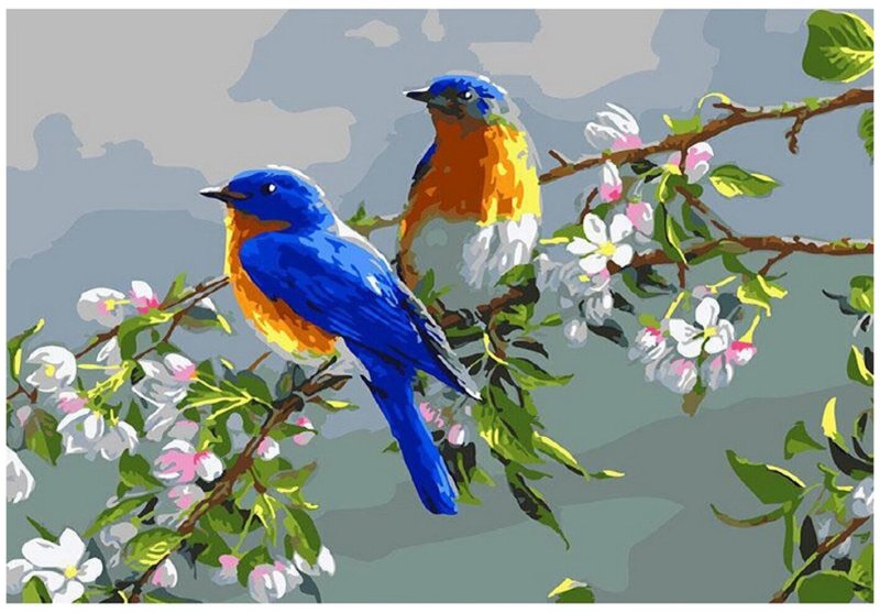 Весенние цветы и птицы