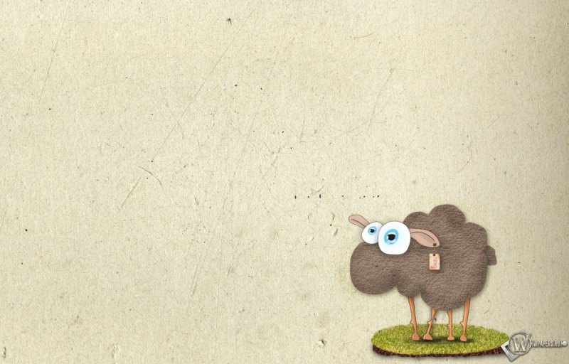Овечки на Цветном фоне