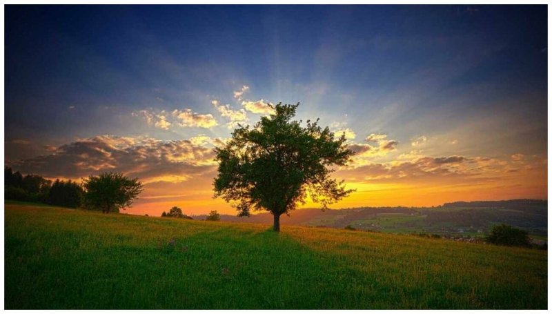 Солнечный пейзаж