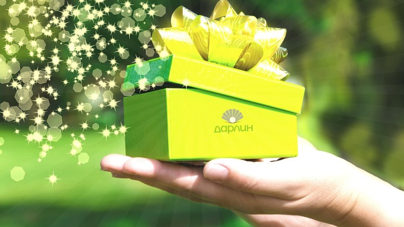 Красивый зеленый подарок