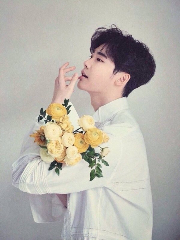 Эстетика Лин Чон сок