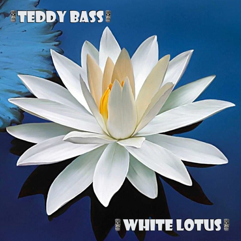 Лилия Лотус Пьюр