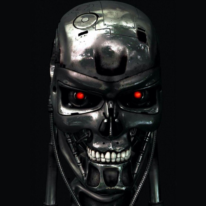 Череп Терминатора т800