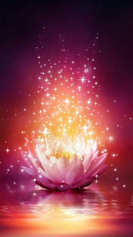 Сказочные цветы