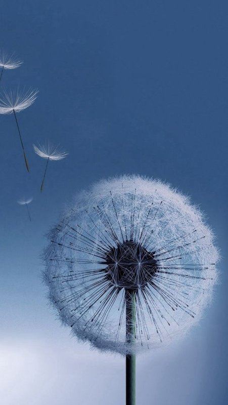 Самсунг галакси s3