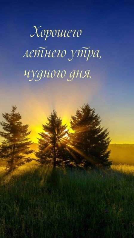 Природа рассвет