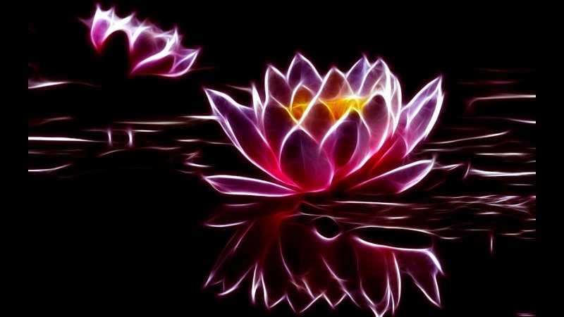 Лотос Лилия кувшинка неон