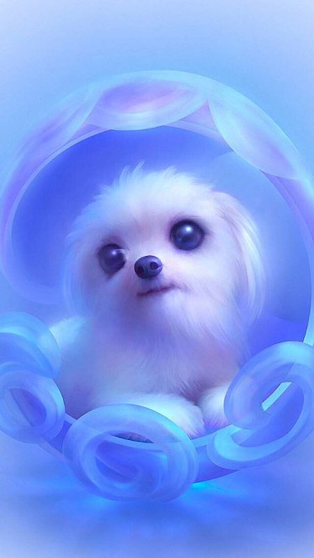 Милые зверьки