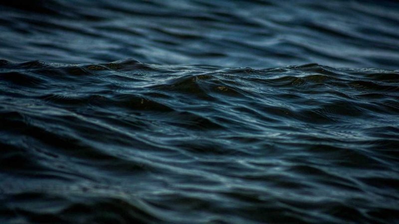 Темные воды