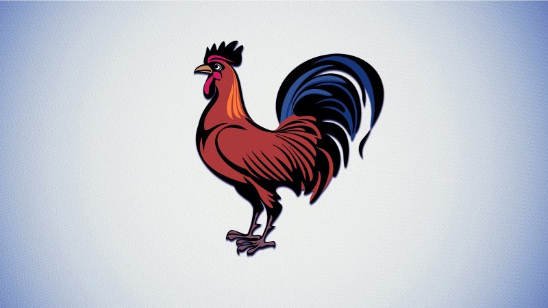Петух на рабочий стол