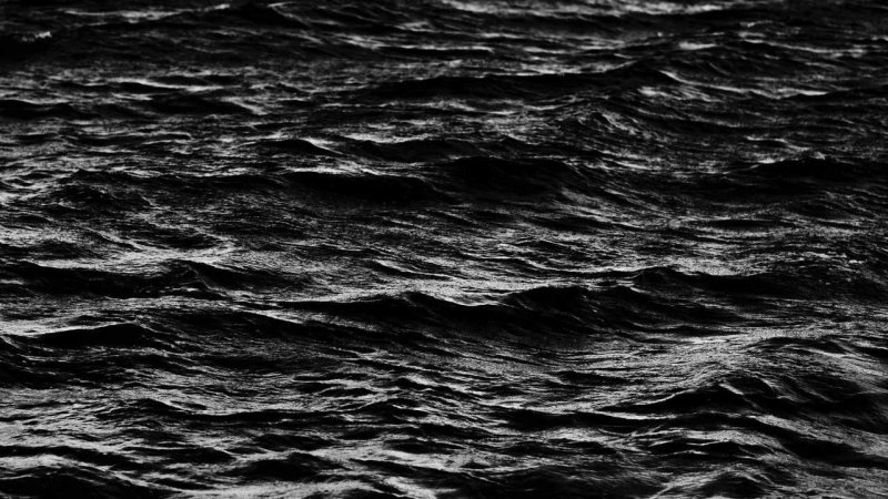 Черная вода